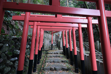 【京都】狸谷山不動院（秋）