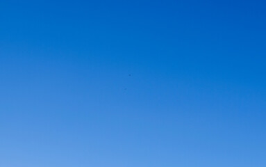 Two birds flying far in the deep blue sky.Being alone in the endless blue. Selective focus. Noise effect.A person who is alone in the world.