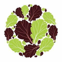 Lettuce leaves in a circle. Vector flat design template. Background of food, farm, gardening or horticulture.