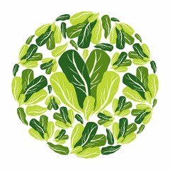 Lettuce in a circle. Vector flat design template. Background of food, farm or horticulture.