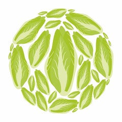 Chinese cabbage in a circle. Vector flat design template. Background of food, farm or horticulture. - 471673438