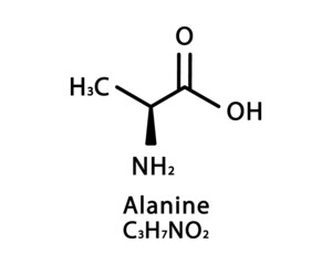 Alanine molecular structure. Alanine skeletal chemical formula. Chemical molecular formula vector illustration