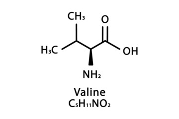Valine molecular structure. Valine skeletal chemical formula. Chemical molecular formula vector illustration
