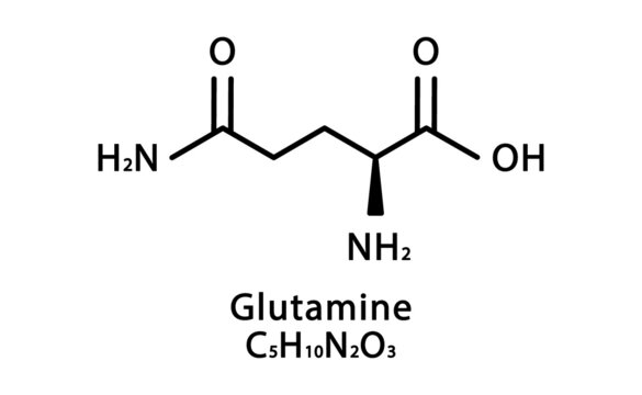 Glutamine molecular structure. Glutamine skeletal chemical formula. Chemical molecular formula vector illustration