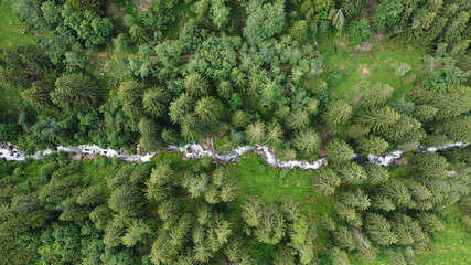 fiume bosco drone natura