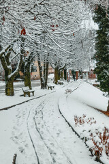 First snow in Austria in November. The city was covered with snow. A beautiful European city in the snow.