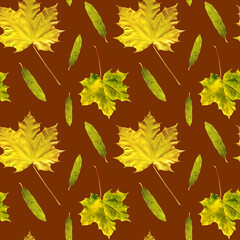 Autumn seamless pattern of maple and pussy willow leaves. Scanned autumn leaves of trees. Design for textiles, scrapbooking. Maple leaf on a brown background