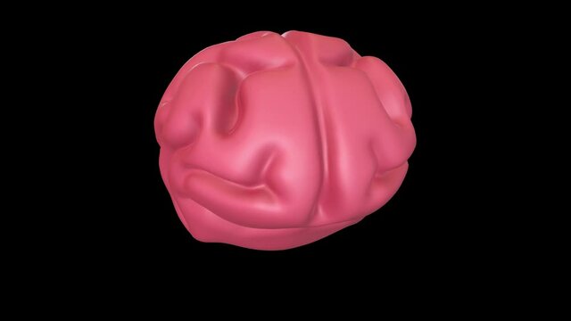 Human brain Anatomical Model. Motion Animation. Video available in 4K FullHD and HD render footage