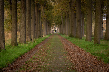 Castle gate and forest in Heeswijk the Netherlands