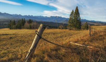 Pasture under the Tatra Mountains