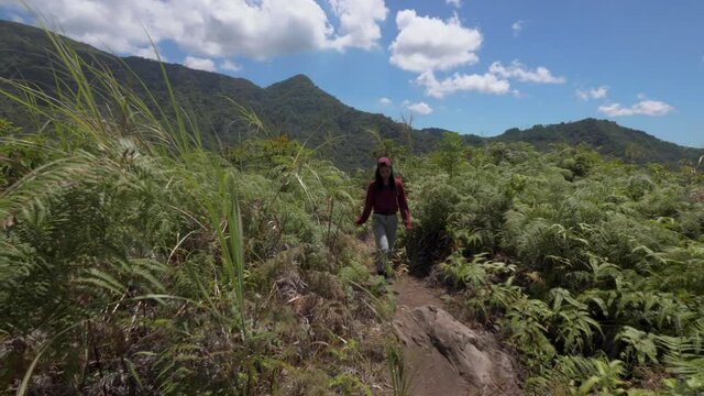Asian Young Woman Climbs A Mountain in Asia, Travels through the Jungle among Palm Trees in Sunny Weather