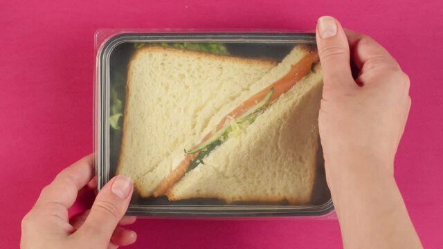 Salmon sandwich close-up. Food delivery top view, take away meal in disposable container. Lunch box with cooked vegetarian dish, bread with fish and lettuce. Healthy diet. Catering service concept.