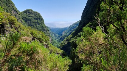 Levada and valley walks in Madeira