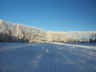 One winter frosty morning. Park, public outdoor stadium. Trees covered with hoarfrost. Winter. Russia, Ural, Perm region.