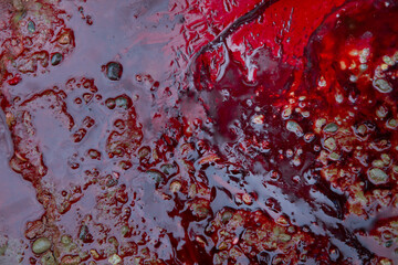 Real Red blood background . Real animal blood, gore close up macro shot for background . After the...