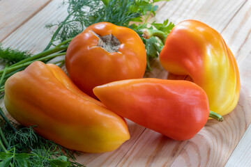 Ingredients for casual summer salad: bell pepper, yellow tomato and spicy herbs - dill and parsley. Closeup. Capsicum annuum. Topic - fresh vegetables, for menu, for advertising backgrounds