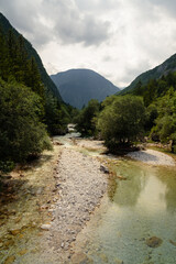 Fototapeta na wymiar River among the trees of a forest in the mountains of Triglav national park, Slovenia