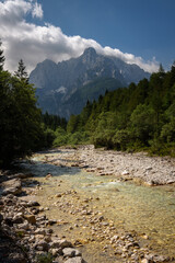 Fototapeta na wymiar River, forest and mountains near Kranjska Gora town in Triglav national park, Slovenia