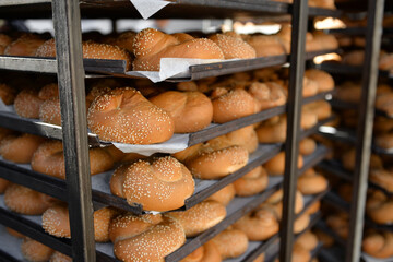 fresh buns in baking cabinets. bread on a baking sheet.