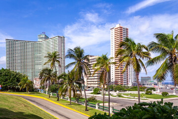 Fototapeta na wymiar View of high-rise buildings and palm trees of Havana.Cuba