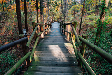 Fototapeta premium Wolmido island Wolmisan mountain trail at autumn in Incheon, Korea
