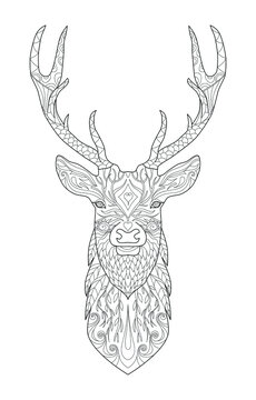 Hand drawn deer. Sketch. Page for anti-stress adult coloring book in zen-tangle style. Vector illustration, isolated on white background. Template for poster, t-shirt, cover or tattoo.