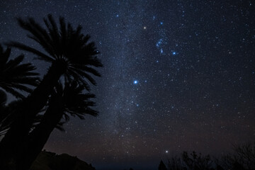 宮崎県都井岬の星空
