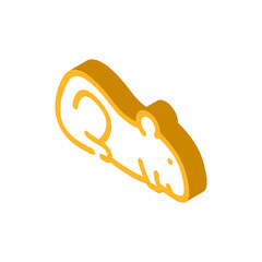 hamster pet animal isometric icon vector. hamster pet animal sign. isolated symbol illustration