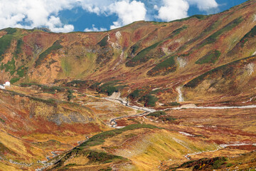草紅葉に色付く立山室堂雷鳥沢の風景