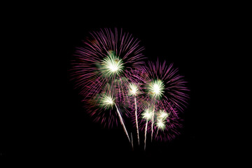 Many flashing colorful fireworks in event amazing with black background celebrate New Year, holiday and festival in night.