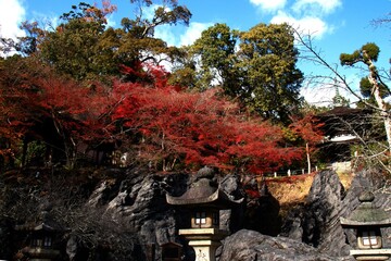 三井寺の紅葉