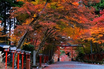 日吉神社（滋賀県）