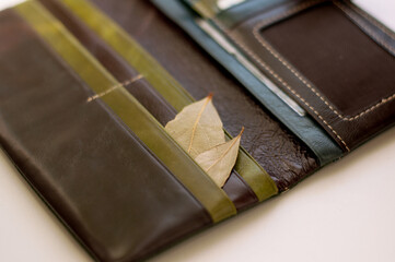 An open leather wallet with laurel leaves inside, like a money amulet