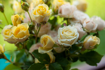 bouquet of white and yellow roses with blurred edges