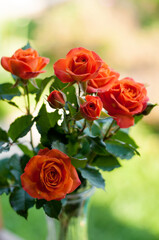 a bouquet of scarlet roses in a glass vase in a vertical format