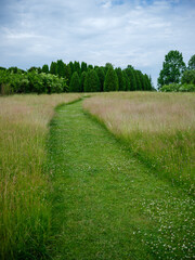 simple asphalt road in perspective