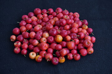 Malpighia glabra is a tropical fruit of the Malpighiaceae family. Acerola are among those with the highest levels of vitamin C; 100 g fresh juice contains up to approx. 1000-1500 mg of the vitamin. 