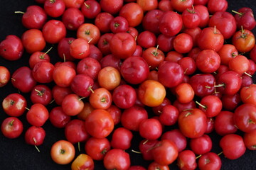 Malpighia glabra is a tropical fruit of the Malpighiaceae family. Acerola are among those with the highest levels of vitamin C; 100 g fresh juice contains up to approx. 1000-1500 mg of the vitamin. 