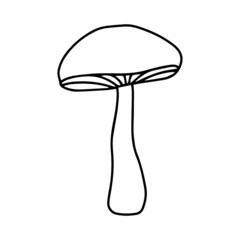 Little Mushroom simple cute vector doodle autumn  illustration in cartoon style, one line, black color isolated on white background, single hand drawn element for design.