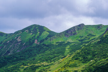Fototapeta premium misty green mountain cores in summer covered with grass