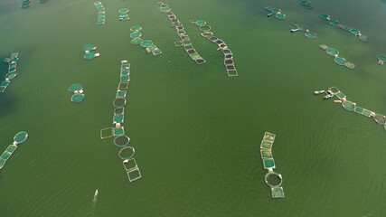 Fish farm on Lake Taal, Philippines, where locals breed fish for sale and food. Philippines, Luzon.
