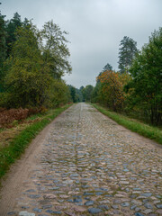 simple asphalt road in perspective