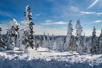Dalton Highway is a 414-mile road in Alaska beginning north of Fairbanks and ends at Deadhorse near Arctic Ocean. Subject of the first episode of the BBC's  World's Most Dangerous roads.