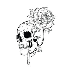 Skull rose flower with hand drawing style free vector illustration