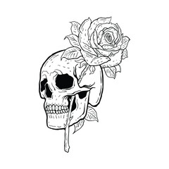 Fototapeta premium Skull rose flower with hand drawing style free vector illustration