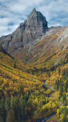Wide panorama of amazing mountain ridge with rocky peaks, autumn landscape with yellow mixed forest and green pines, Chistaya river valley in late autumn, fresh snow on summits