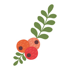christmas seeds and leafs