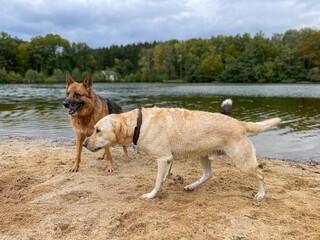 Am Strand 2