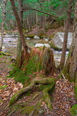 Waterfall and Blue Swimming Hole in White Mountains New Hampshire