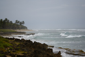 Seacost in stormy weather waves in wildlife